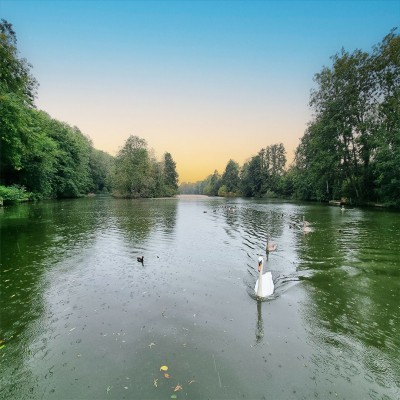 Sell Your Home in Earley or Lower Earley (RG6) 