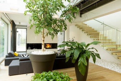 Is Bringing the Outdoors Indoors the Key to Selling Your Property in Reading?